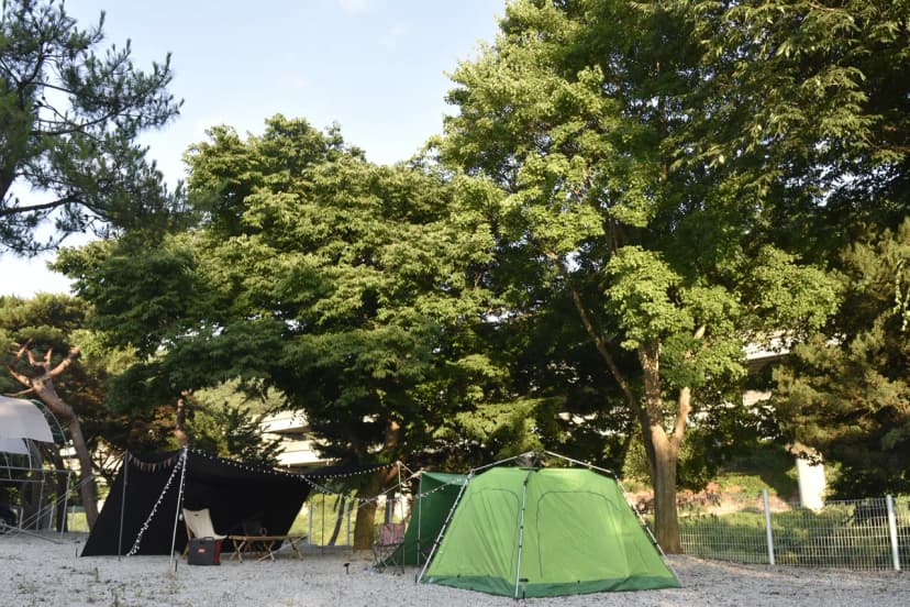 포천 리버빌캠핑&카페 사진 5
