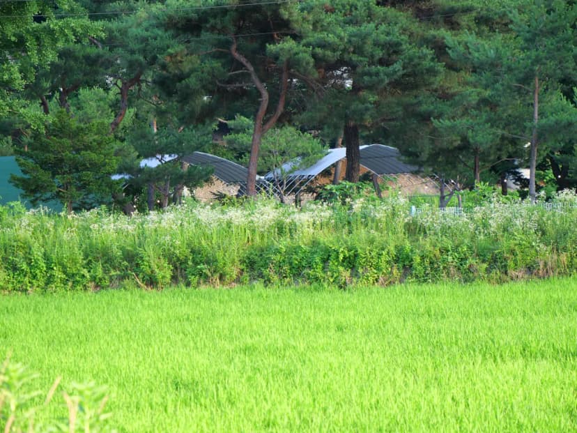 포천 리버빌캠핑&카페 사진 14