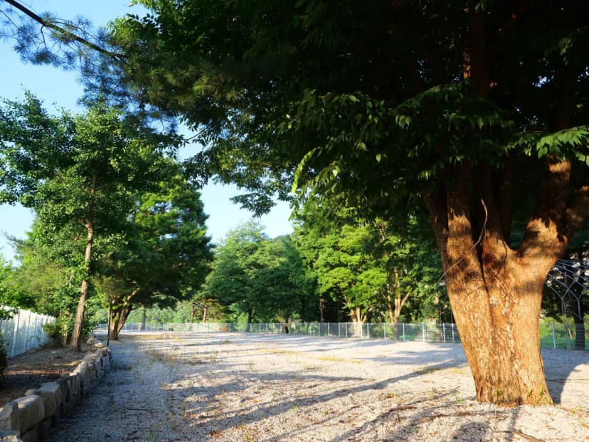 포천 리버빌캠핑&카페 사진 15