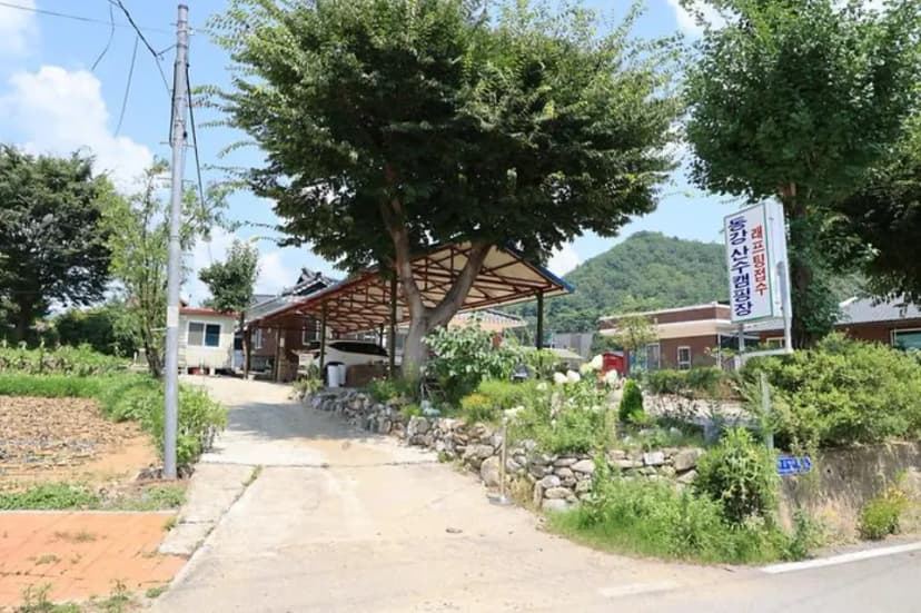 동강 산수 캠핑장