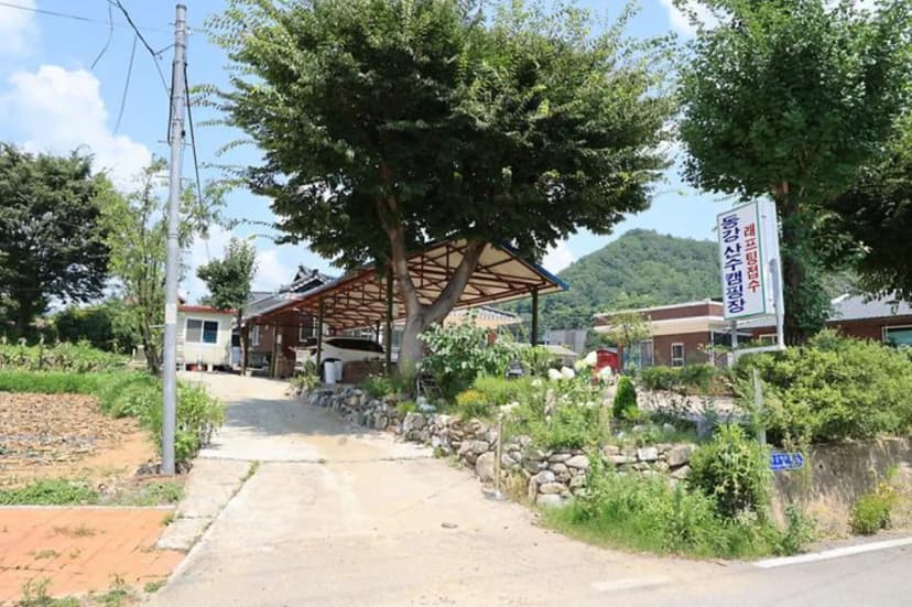 동강 산수 캠핑장 사진 2