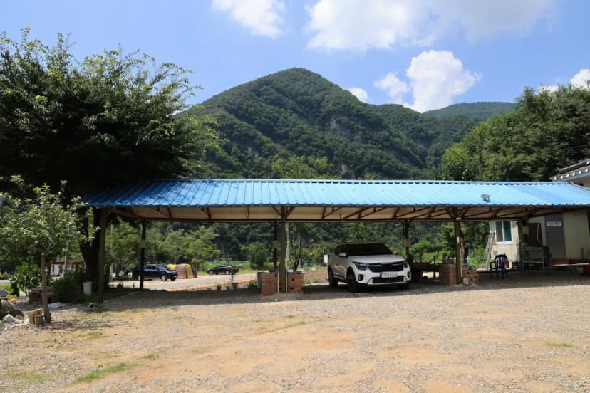 동강 산수 캠핑장 사진 5