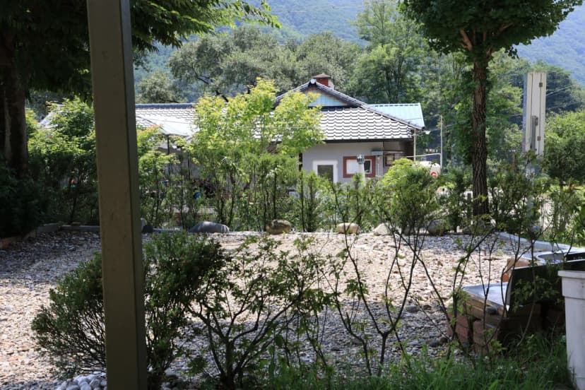 동강 산수 캠핑장 사진 6