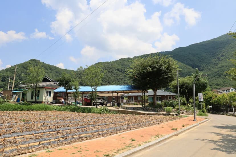 동강 산수 캠핑장 사진 10
