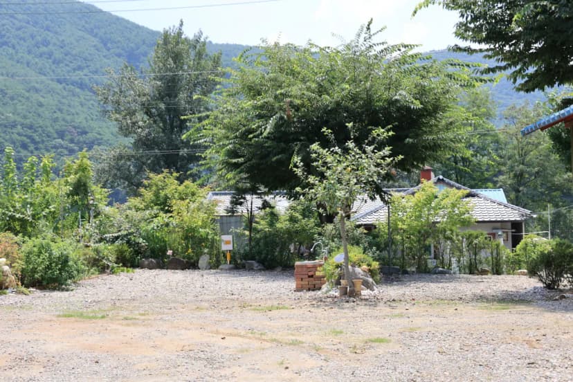 동강 산수 캠핑장 사진 12
