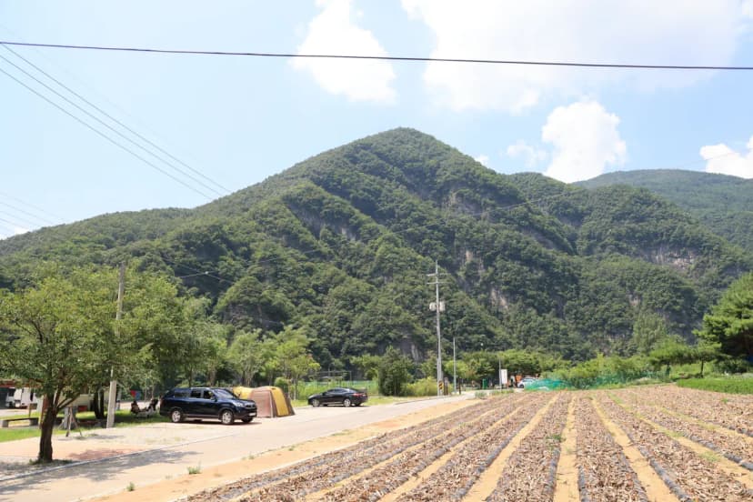 동강 산수 캠핑장 사진 17