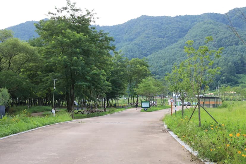 평창 국민여가캠핑장 사진 12