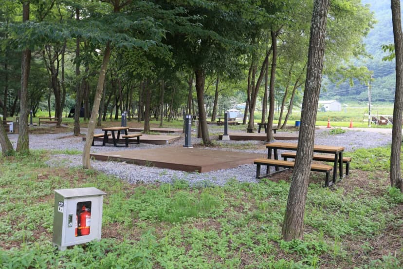 평창 국민여가캠핑장 사진 14
