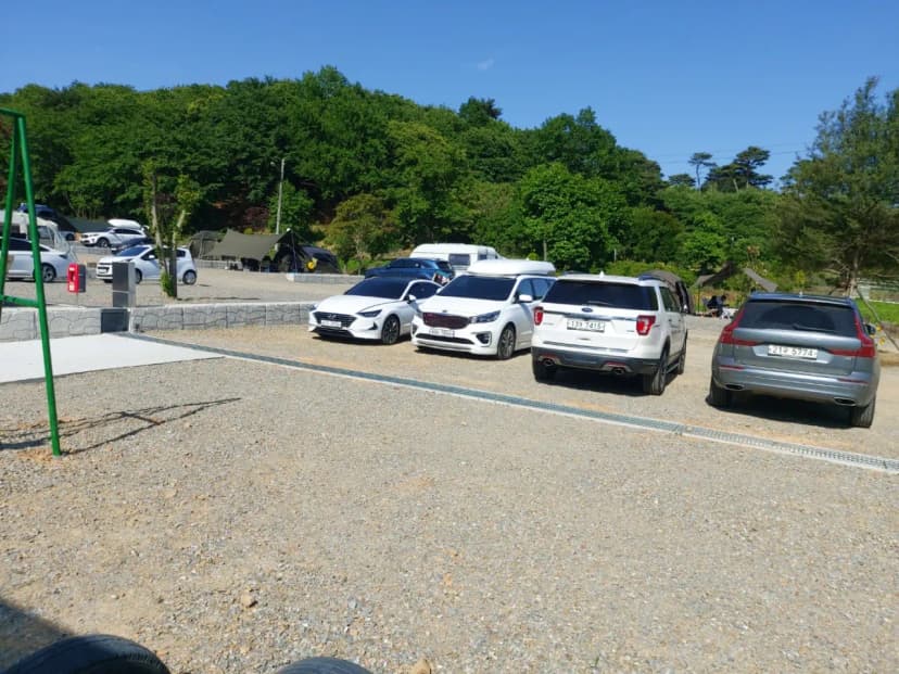 푸르미르 관광농원 사진 11