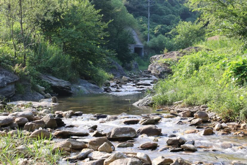 백덕산 캠핑장 사진 14