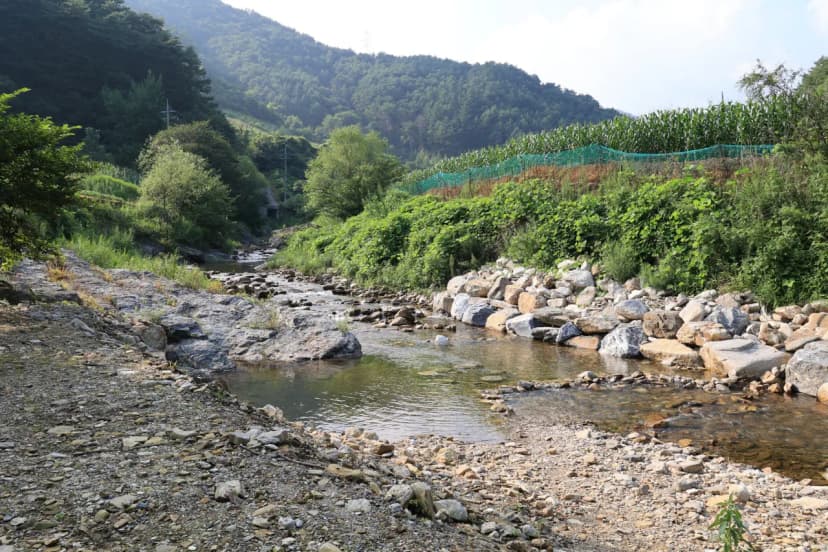 백덕산 캠핑장 사진 20