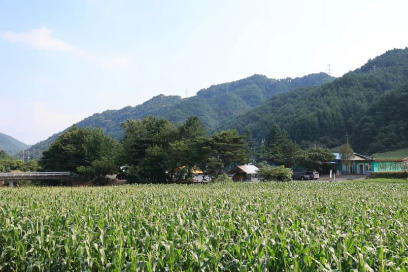 백덕산 캠핑장 사진 21