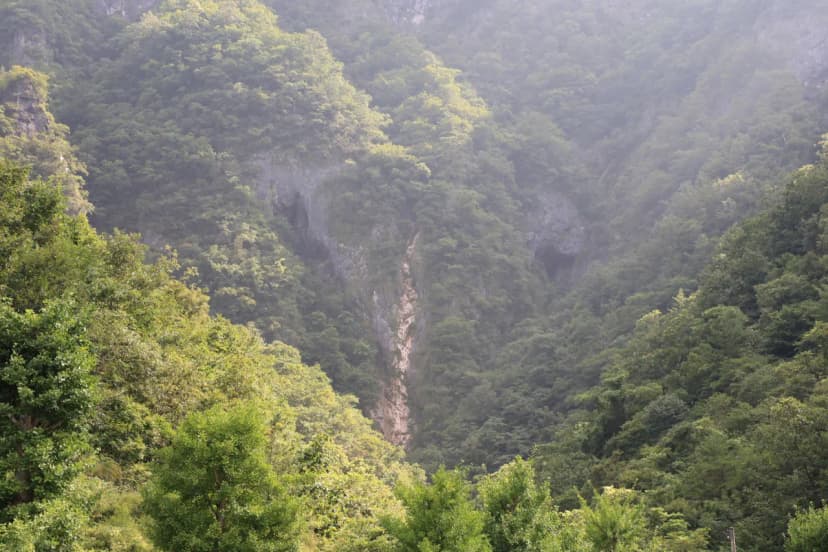 코끼리마을 사진 11