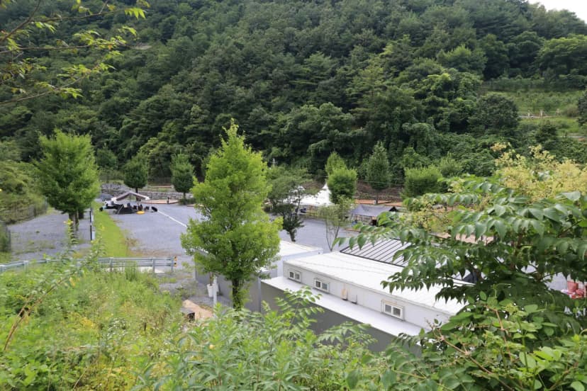 코끼리마을 사진 19