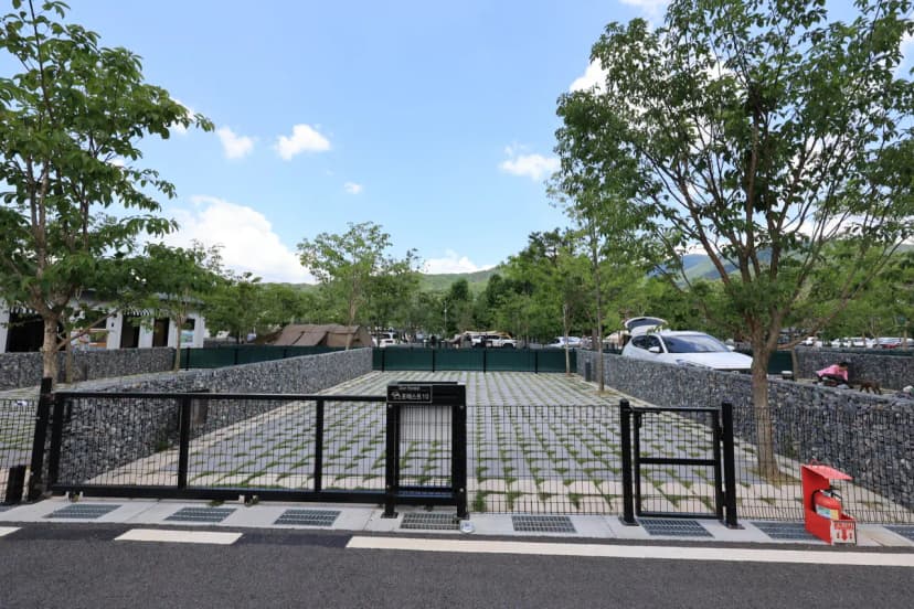 포레스트 사진 5