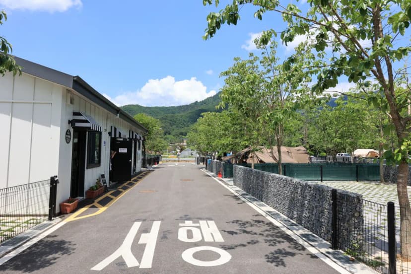 포레스트 사진 8