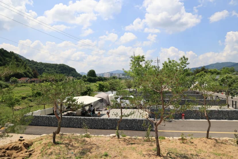 포레스트 사진 11