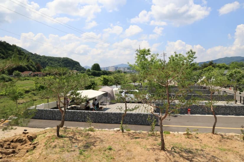 포레스트 사진 12