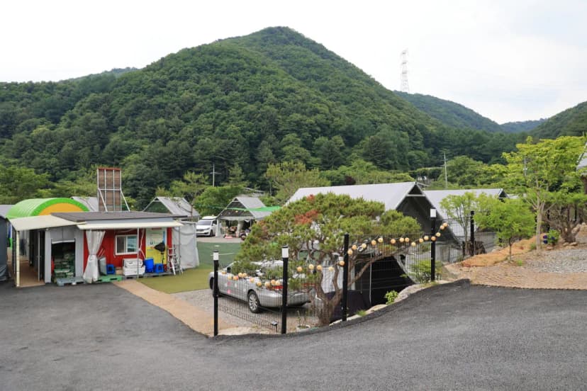 한알캠핑장 사진 4