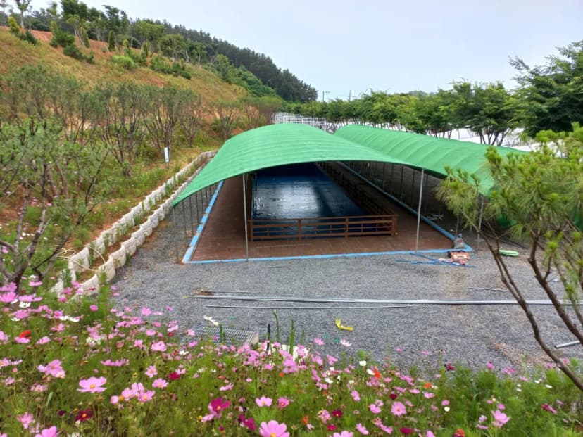 오즈캠핑 사진 6