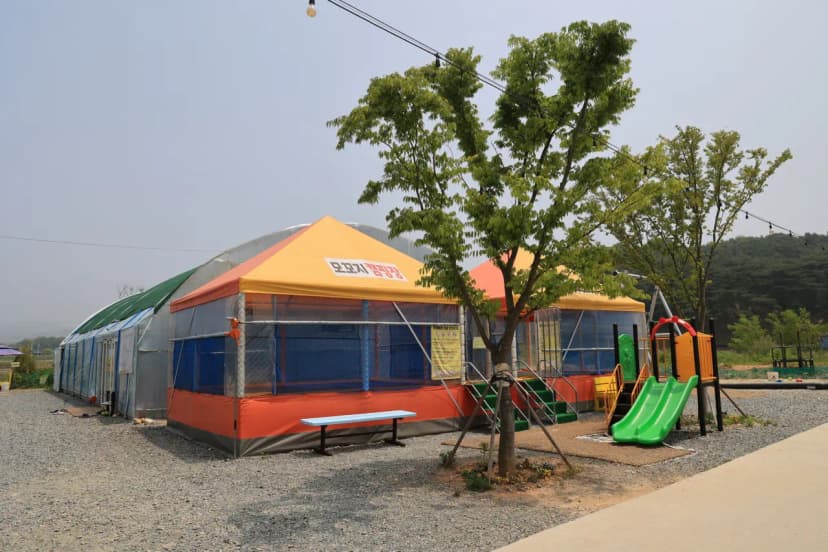 해미 모꼬지 캠핑장 사진 6