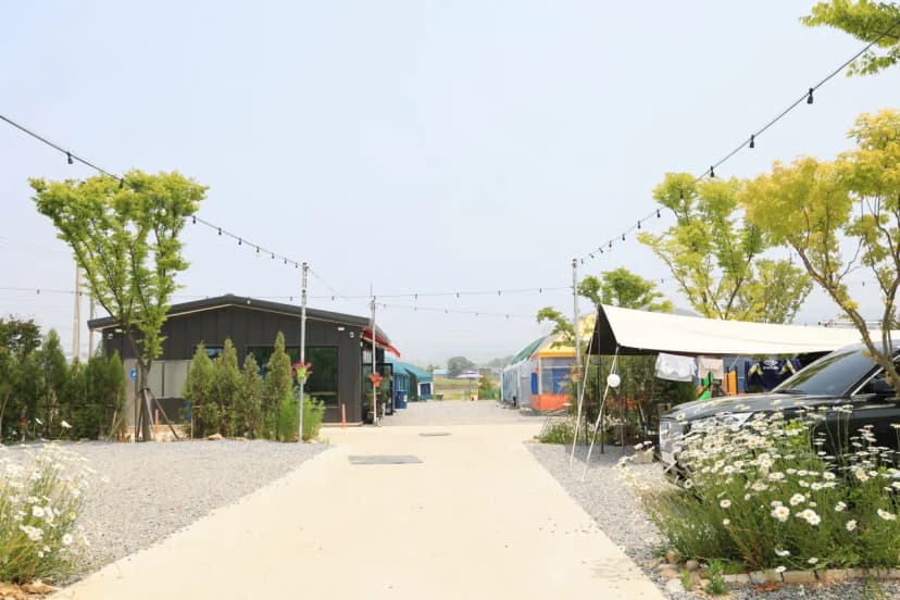 해미 모꼬지 캠핑장 사진 9