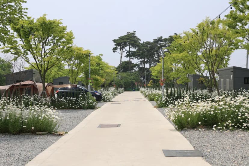 해미 모꼬지 캠핑장 사진 11