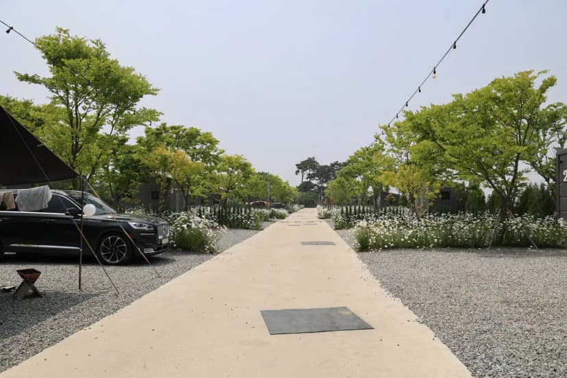 해미 모꼬지 캠핑장 사진 15