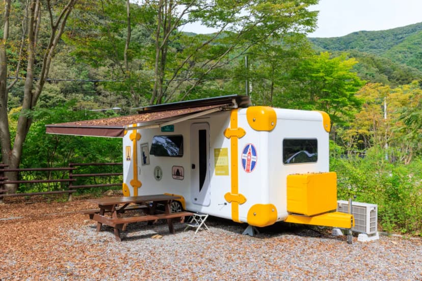 성수산 왕의숲 국민여가캠핑장 사진 8