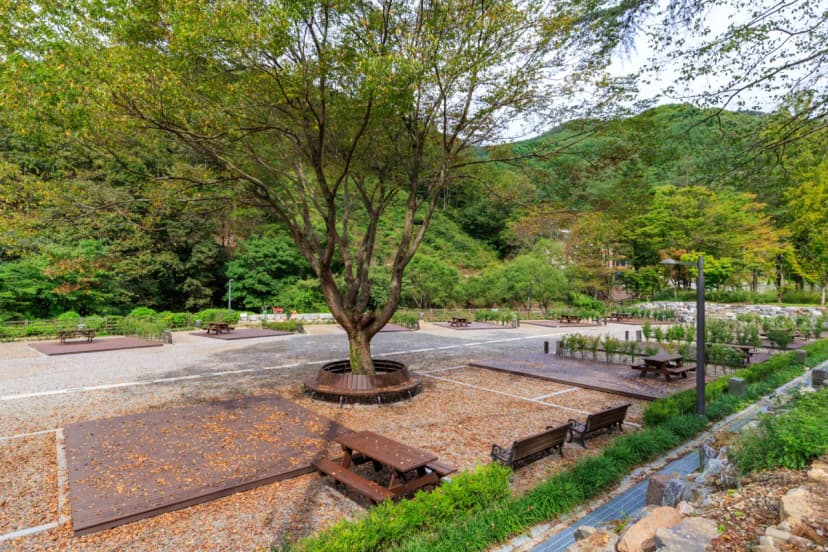 성수산 왕의숲 국민여가캠핑장 사진 11