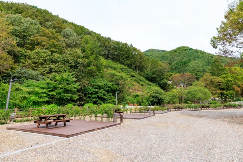 성수산 왕의숲 국민여가캠핑장 사진 12