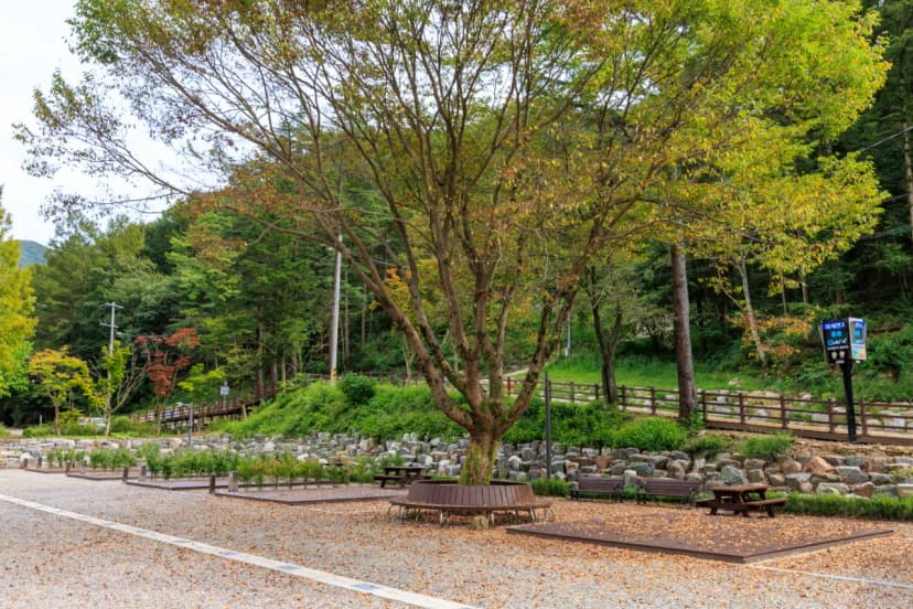 성수산 왕의숲 국민여가캠핑장 사진 13