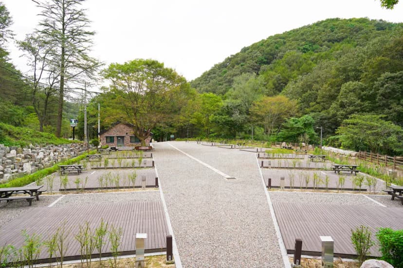 성수산 왕의숲 국민여가캠핑장 사진 17