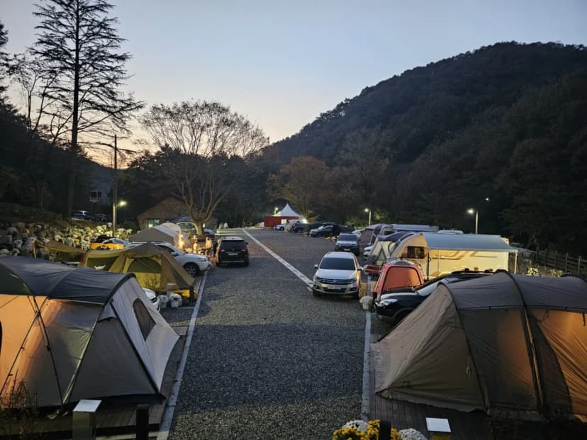 성수산 왕의숲 국민여가캠핑장 사진 18