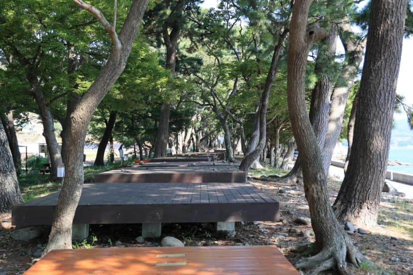 숙호야영장 사진 5