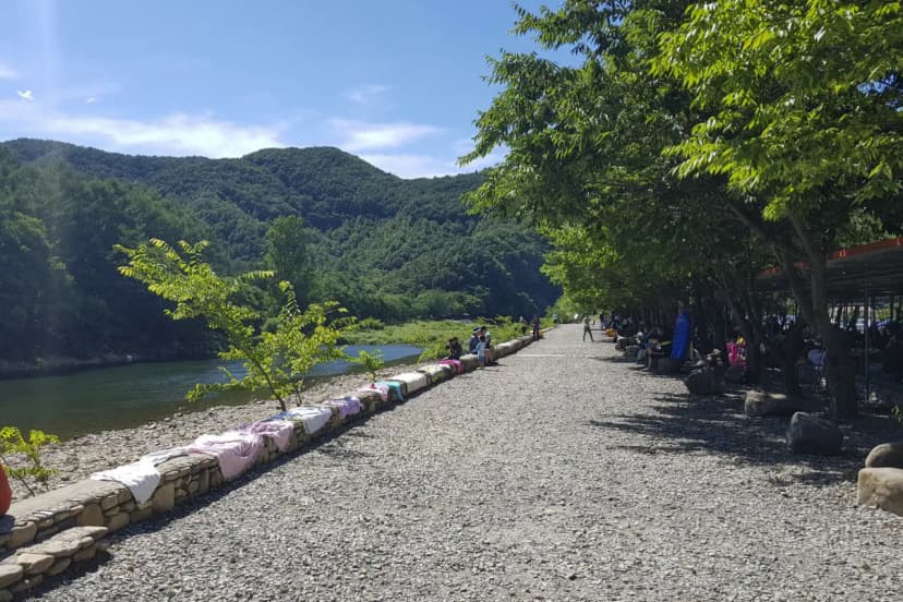솔밭캠핑장 사진 11