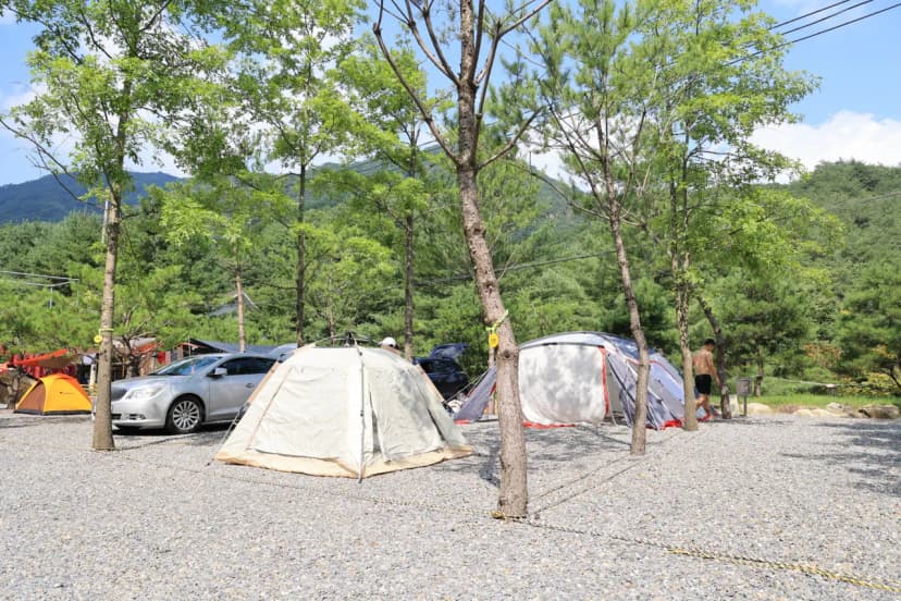 청우재 캠핑장 사진 11