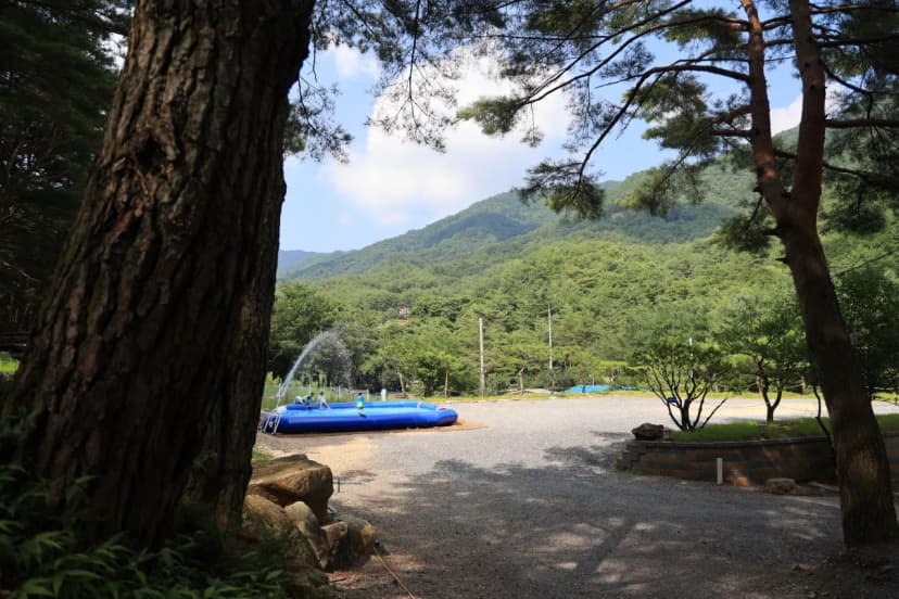 청우재 캠핑장 사진 19