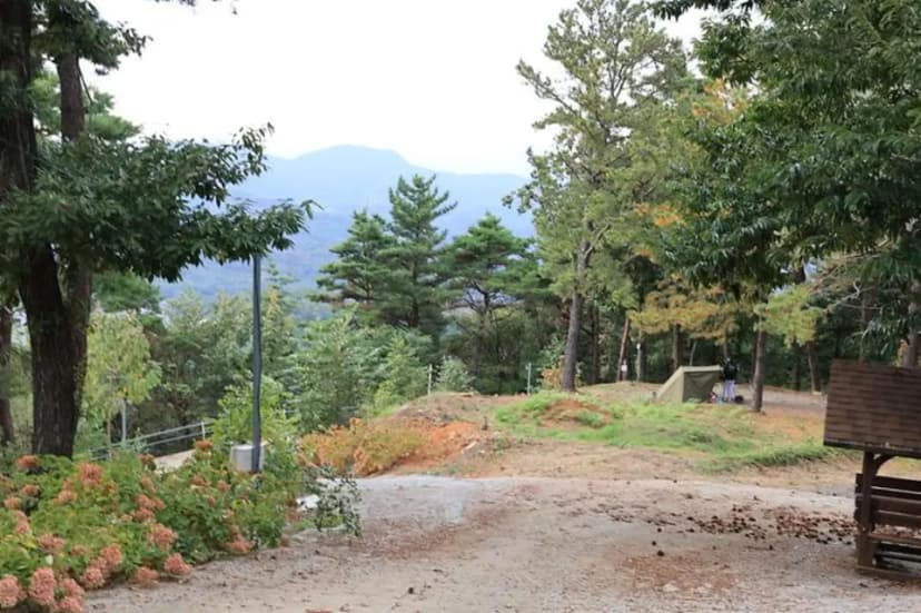 금오산 관광농원