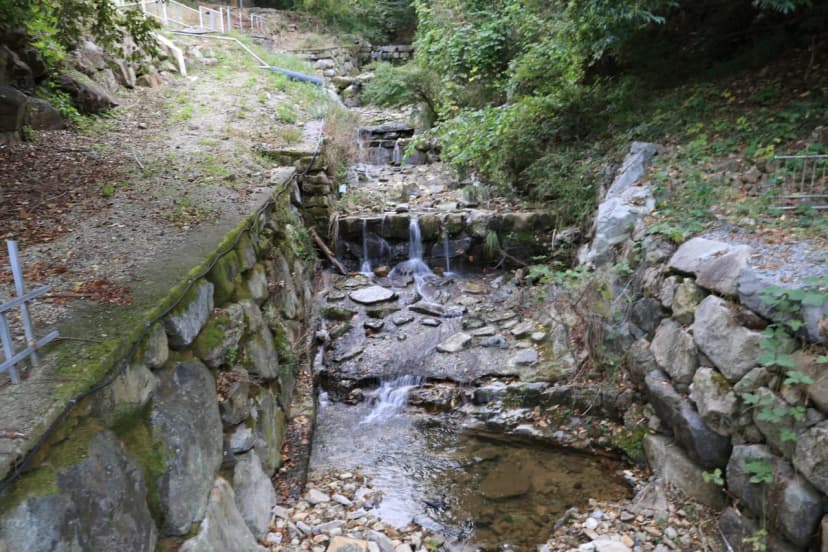 금오산 관광농원 사진 17