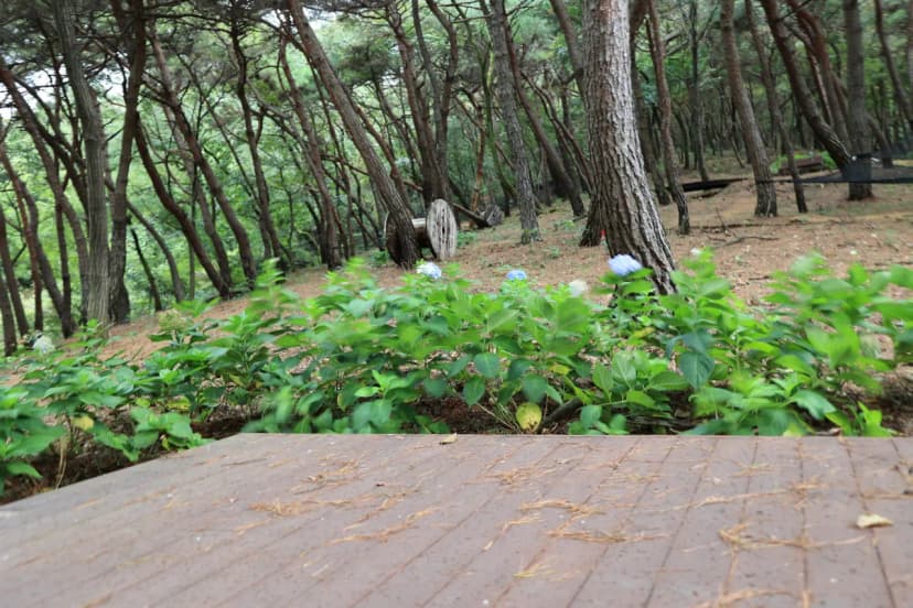 (주)지에스웹 야영장 플라움 사진 7