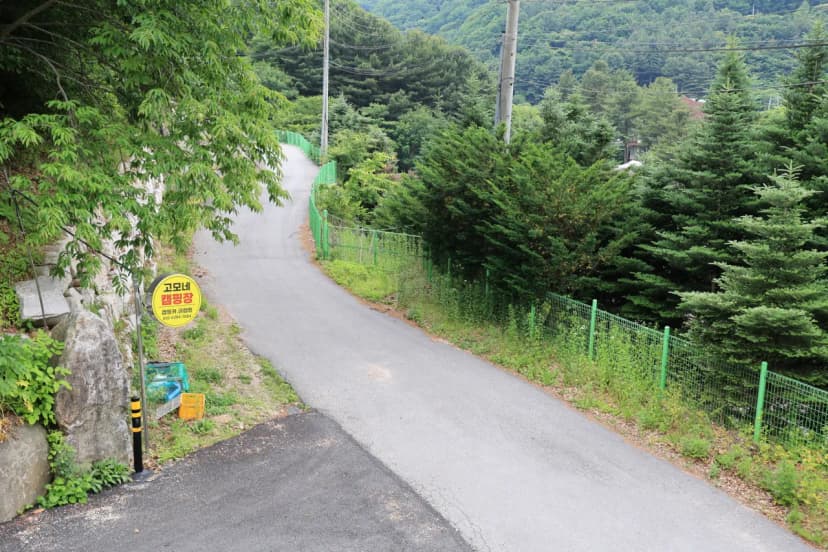 유명산 계곡 캠핑장 사진 4