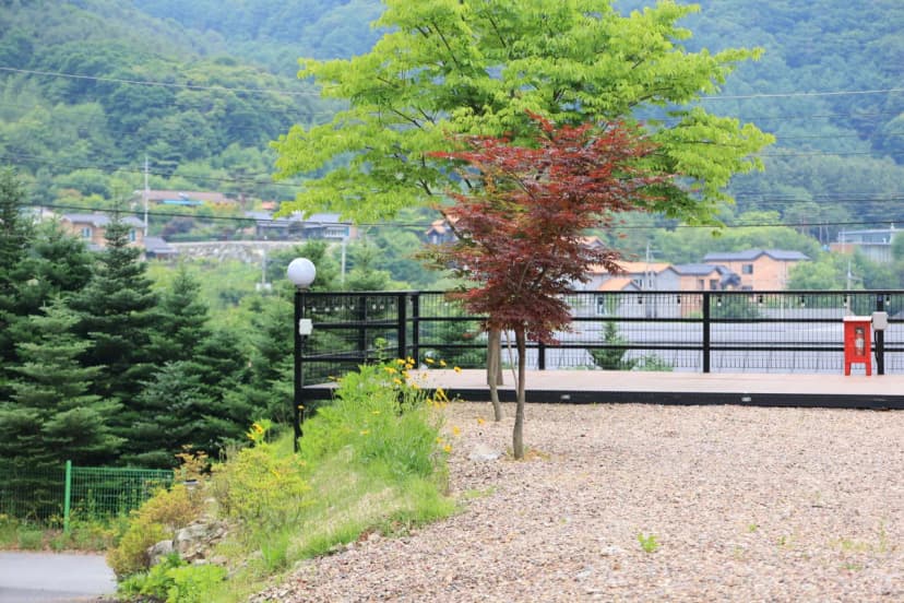 유명산 계곡 캠핑장 사진 15