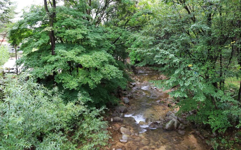 솔비알 캠핑장 사진 13