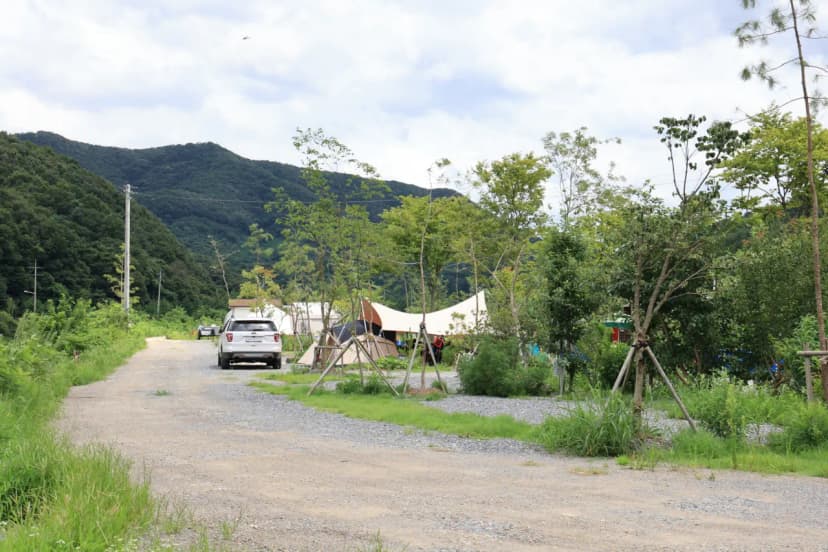 파주 천지연캠핑장 사진 9