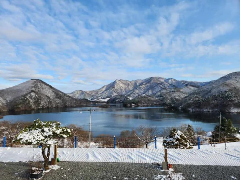 충주호더쉼캠핑장 사진 5
