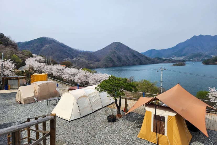 충주호더쉼캠핑장 사진 15