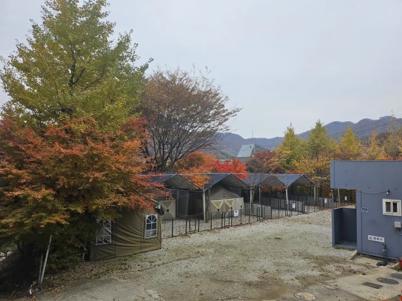 포근마루캠핑장 사진 5
