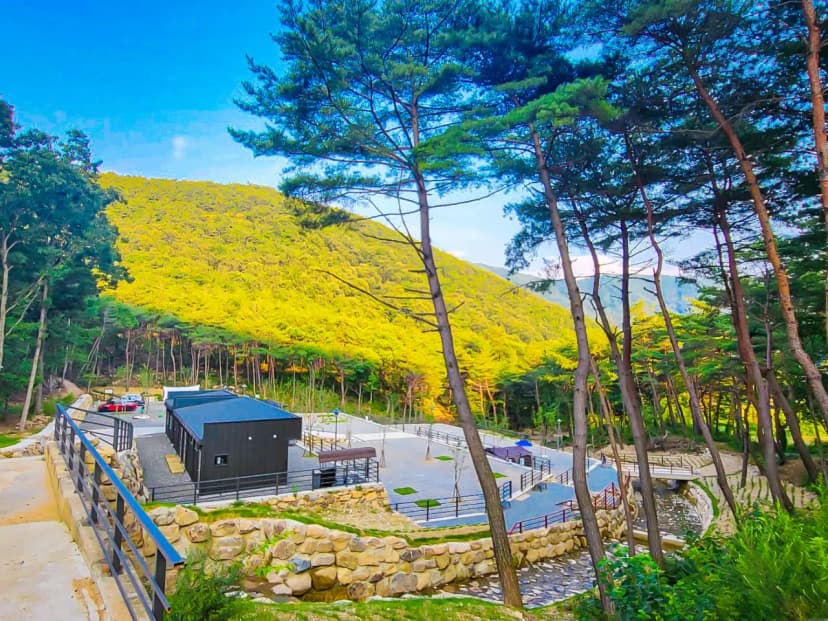 STX오토캠핑장 사진 4