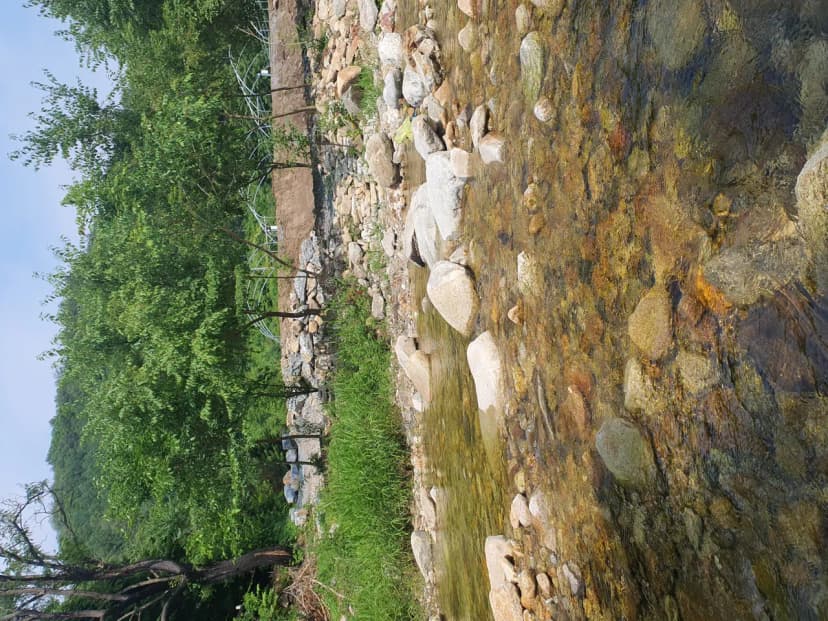 하우스 캠핑장 사진 6